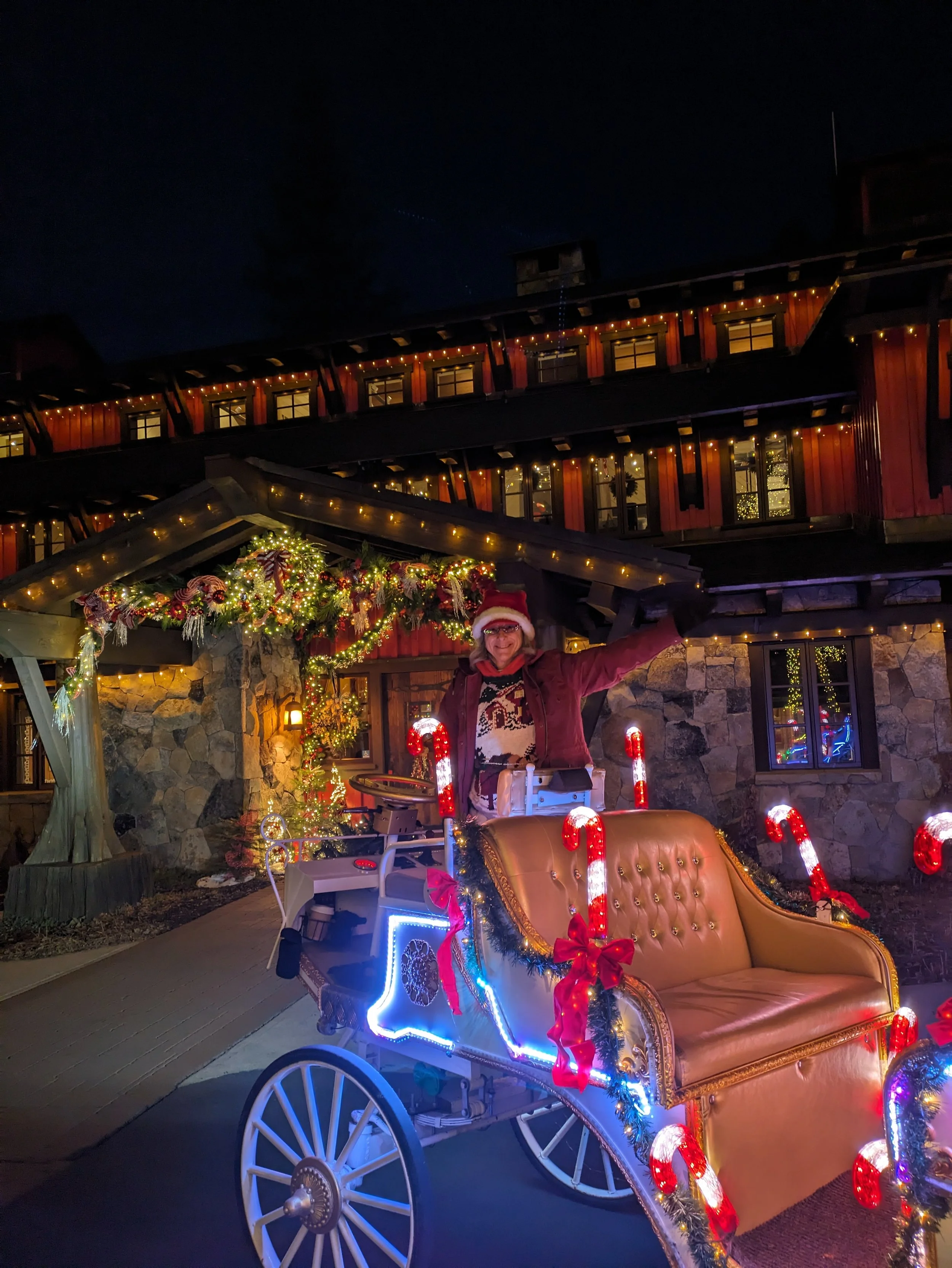 christmas e carriage martis dianna.jpg