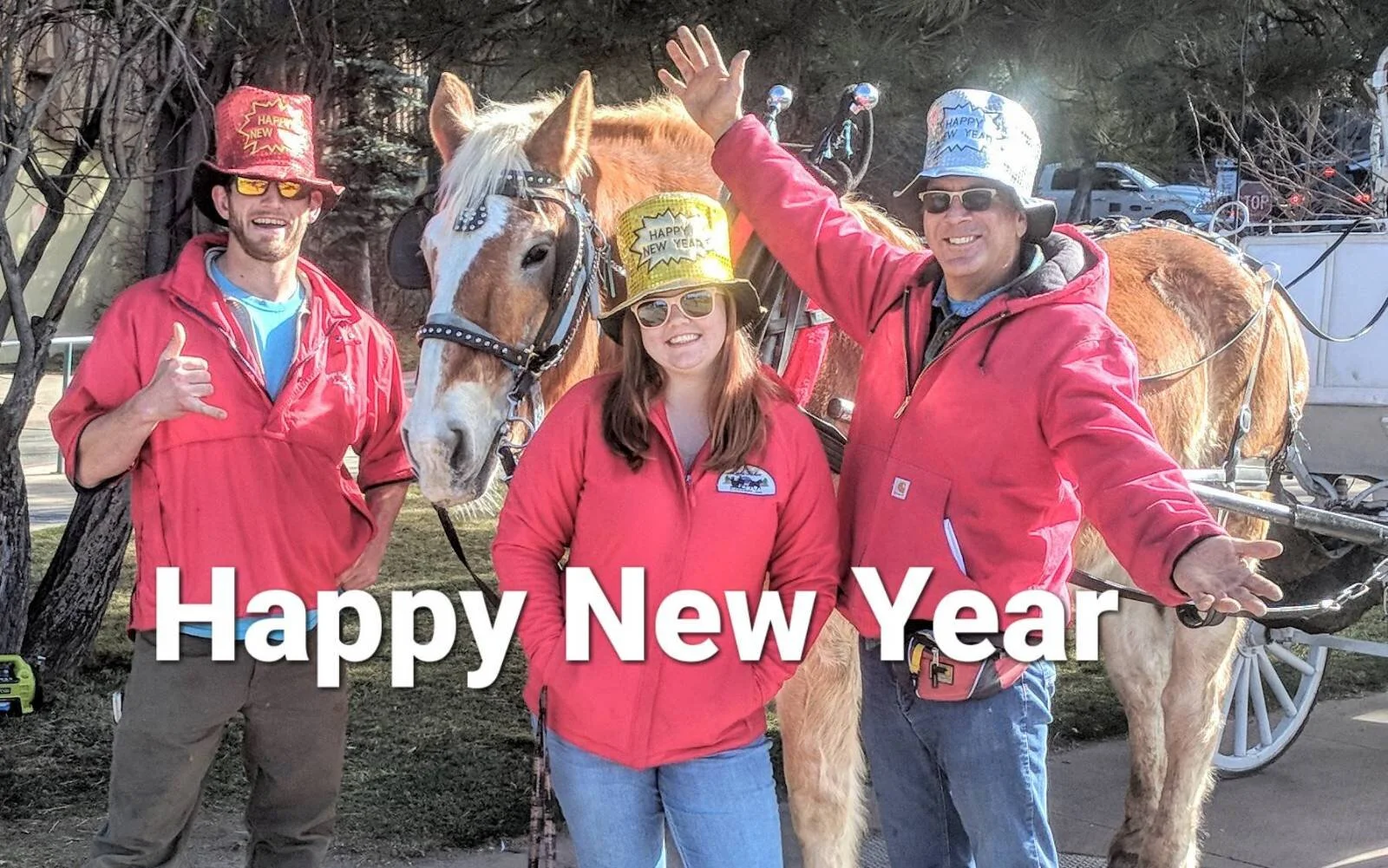 Good Morning and Happy New Year!