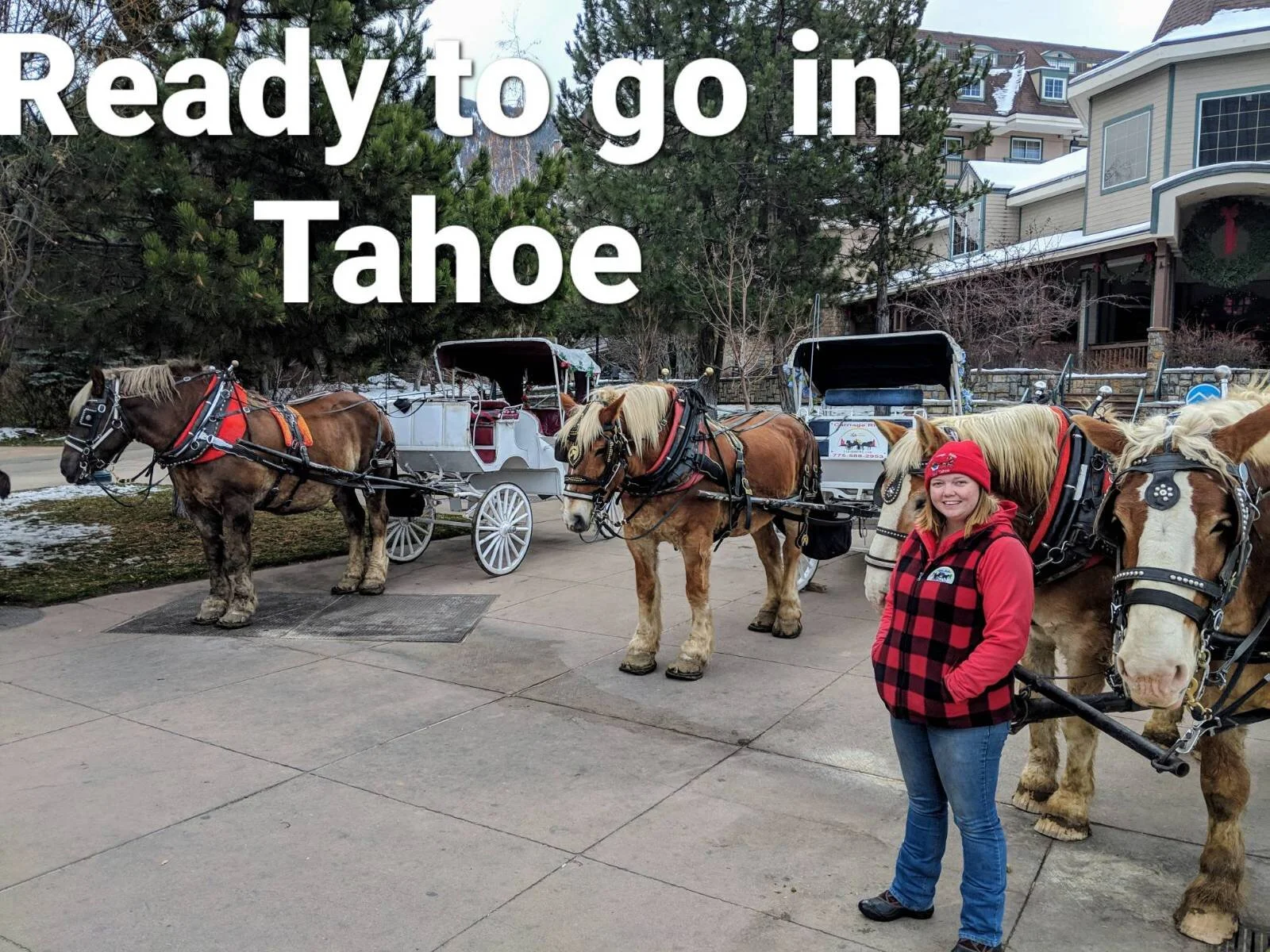 Reservations Closed but Horse Drawn Winter Rides still Available!