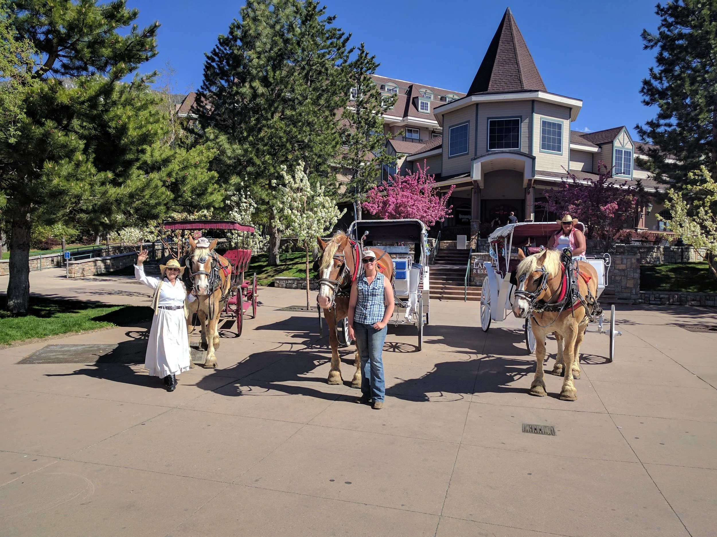 Carriage Rides open at South Lake Tahoe