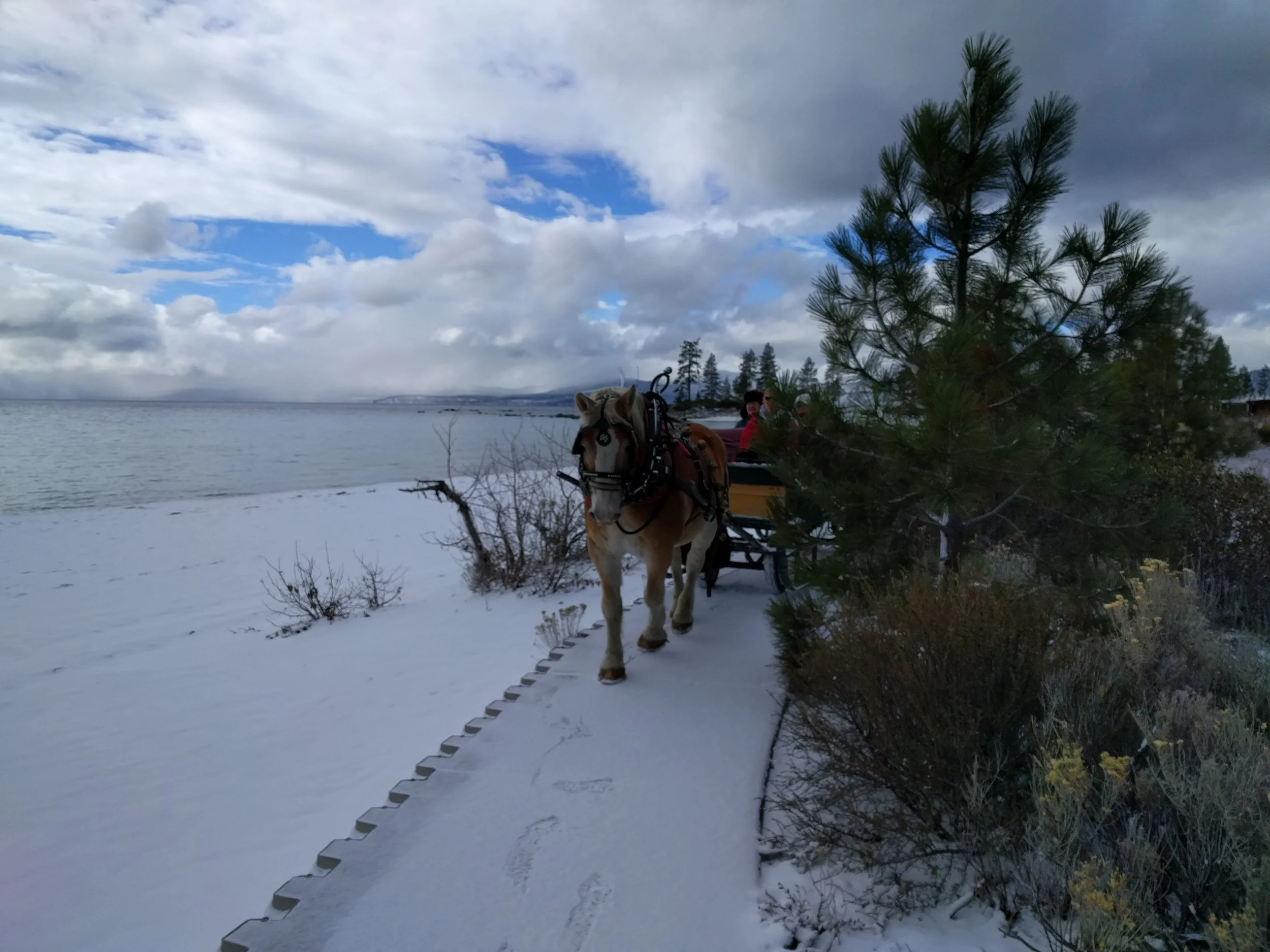 Sleigh Rides open at Sand Harbor Visitor Center, Jan. 18 &amp; 19