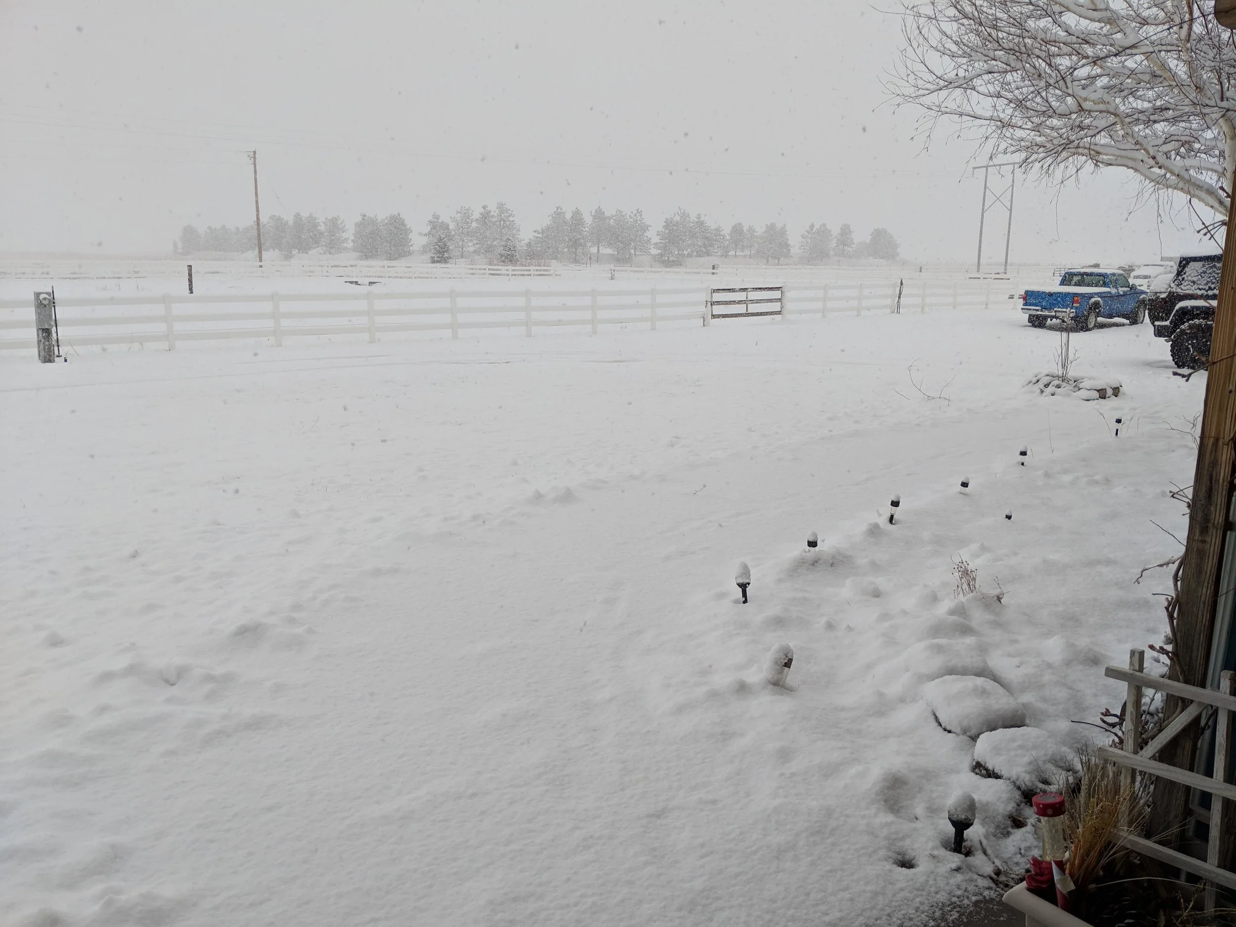 Sleigh and Carriage Rides closed MLK Day due to icy roads and high winds
