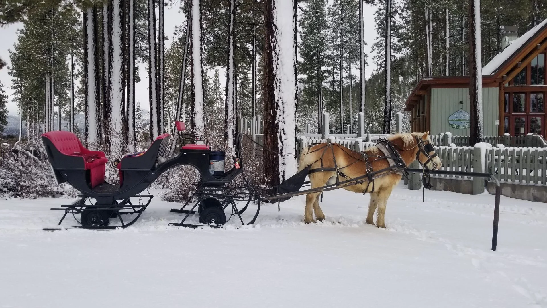 Sand Harbor Sleigh Rides open thru January 28th.   