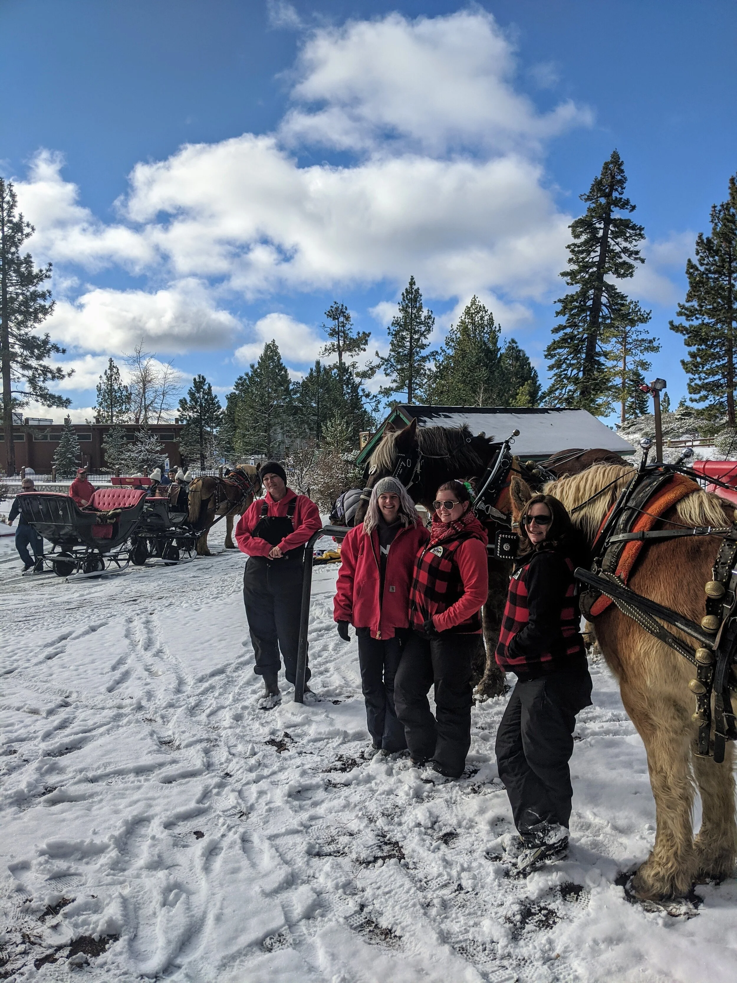 Sleigh Rides at Sand Harbor Open 12/15 &amp; 12/16