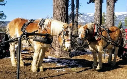 Closed 12/17 &amp; 12/18