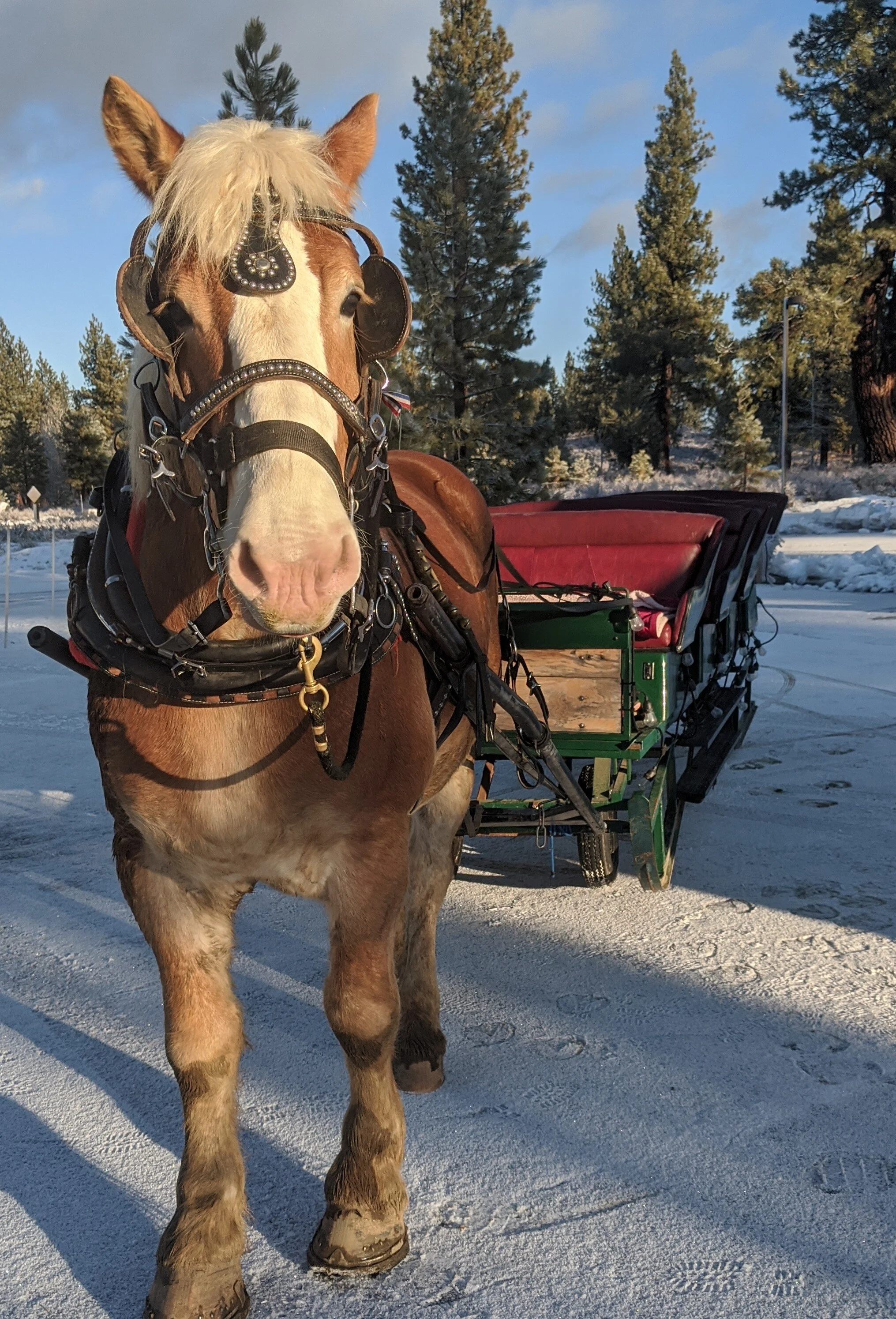 12/19 thru 12/22 schedule