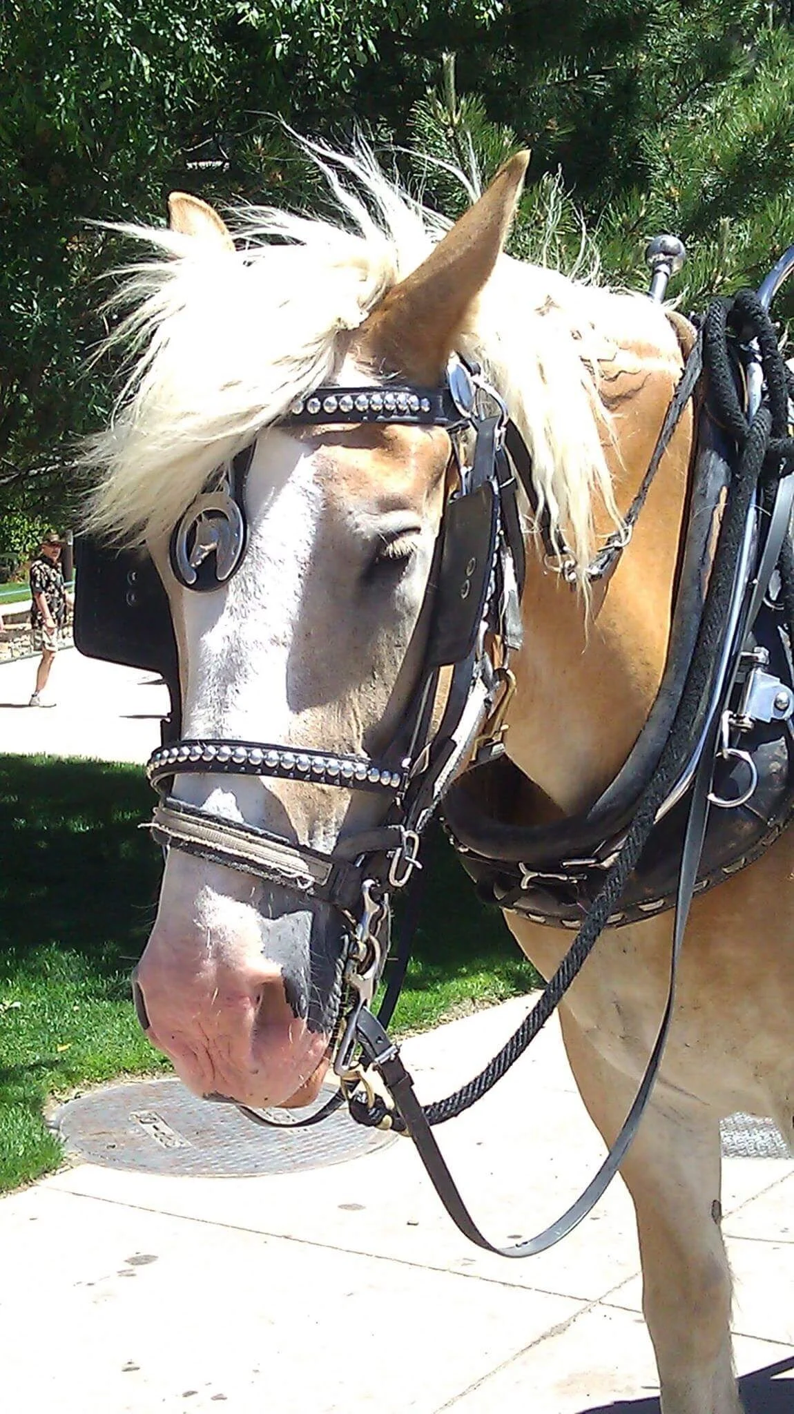 Closures: Sunday, 12/22 due to High Winds 