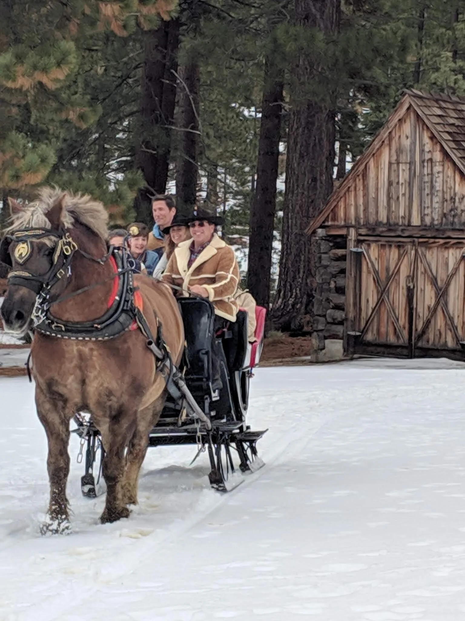 Sleigh Rides will reOpen Friday thru Monday, February 22-25