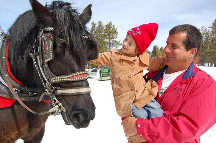 Sleigh &amp; Carriage Rides Closed March 1-5, 2019  All Locations