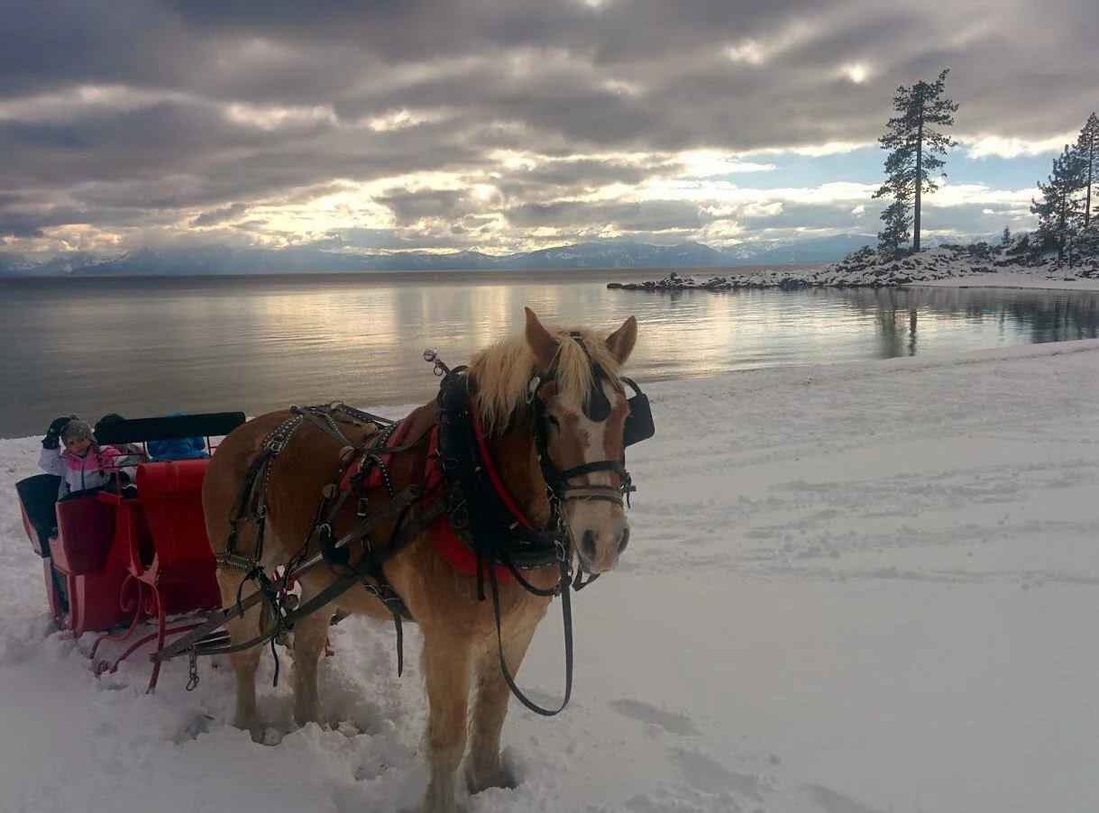 YaHoo! Sleigh Rides on snow Opened Thursday &amp; Friday at Sand Harbor!