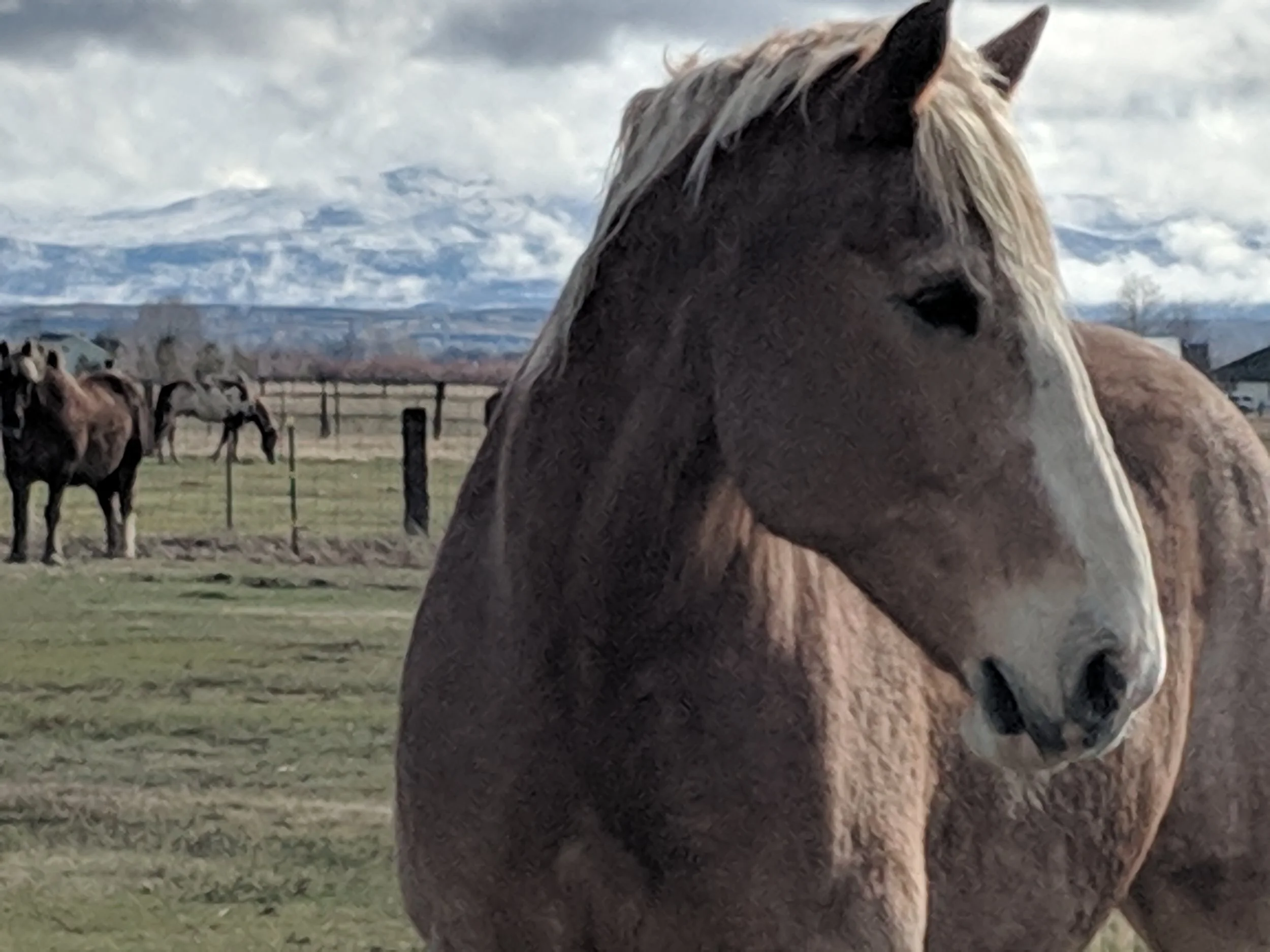 Closure due to weather -  March 22-25, 2019