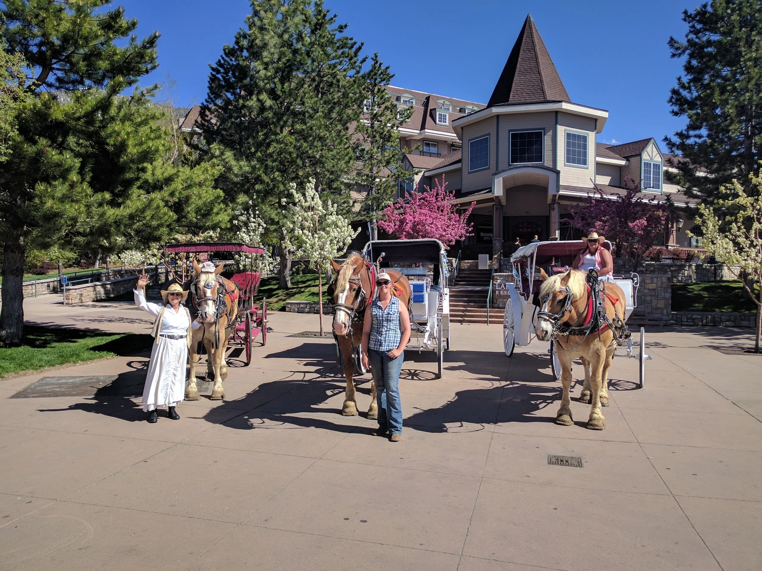 Spring Carriage Rides