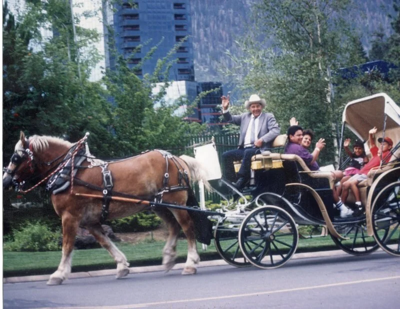 Carriage Rides OPEN - Spring 2019 