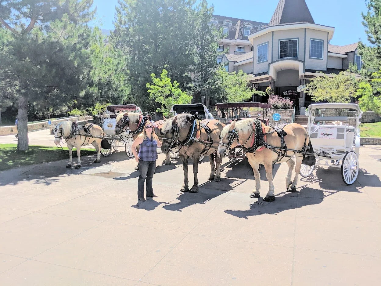 Fall Schedule for Carriage Rides
