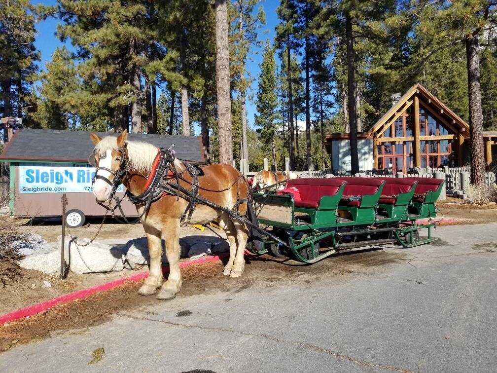 Sand Harbor OPEN 1/12/2020