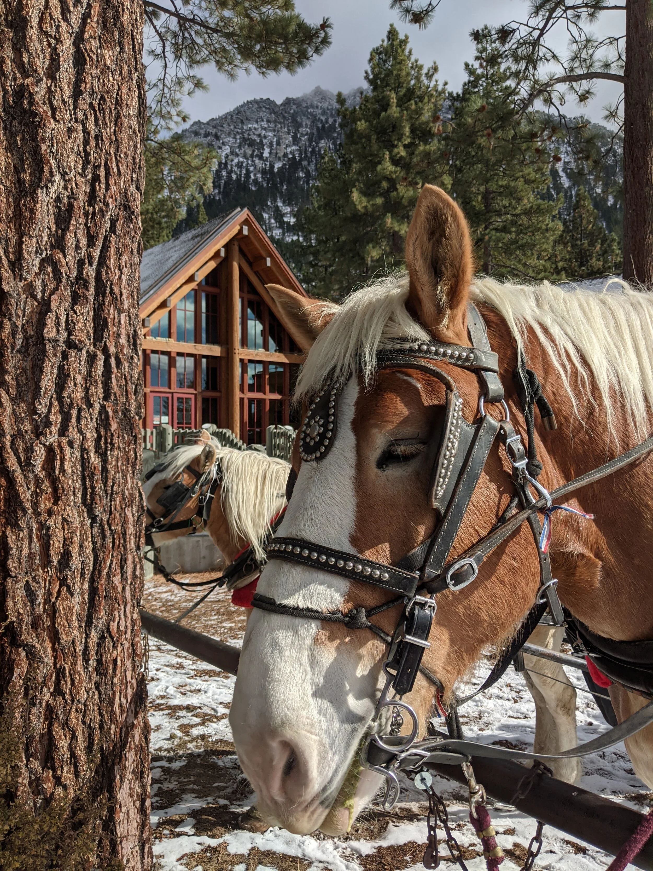 our Holiday activities update