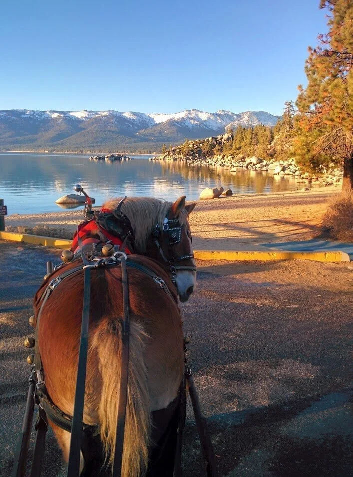 Sand Harbor Location OPEN  