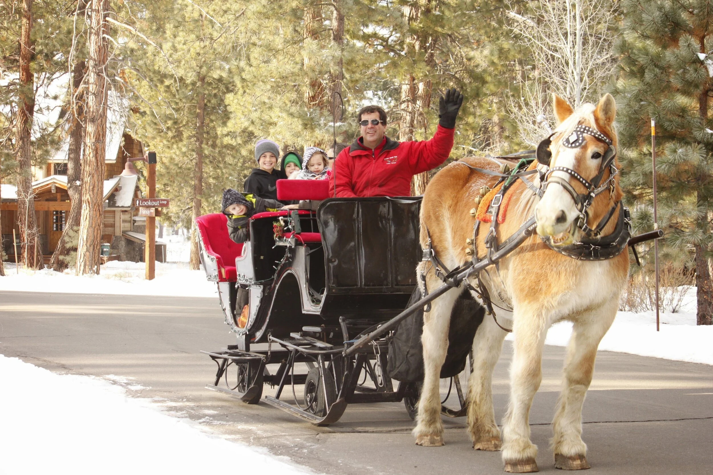 Sleigh Rides Closed 12/17/2020