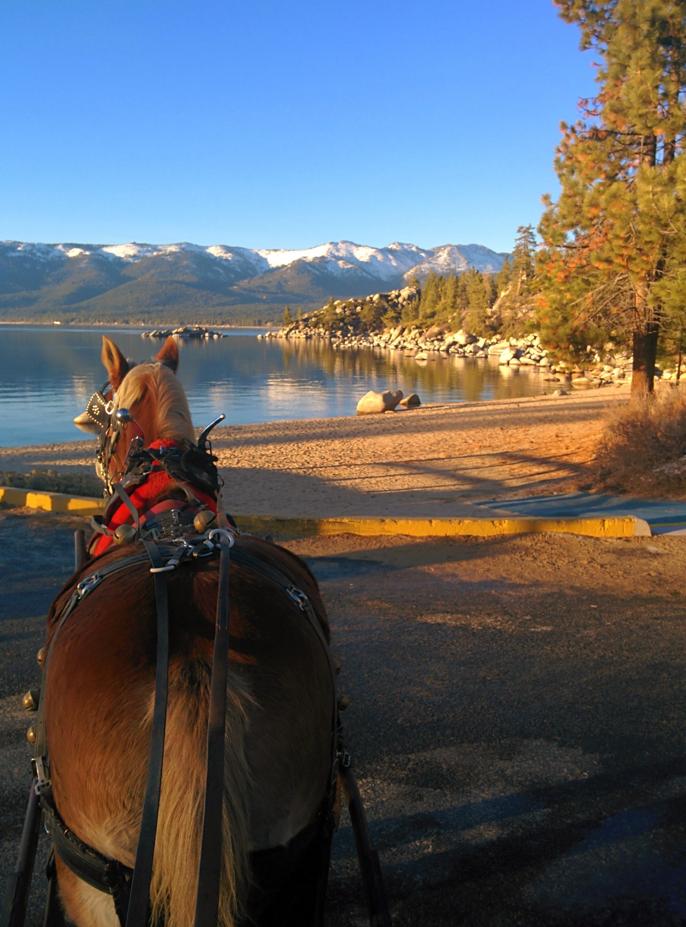 Sand Harbor Visitors Center open