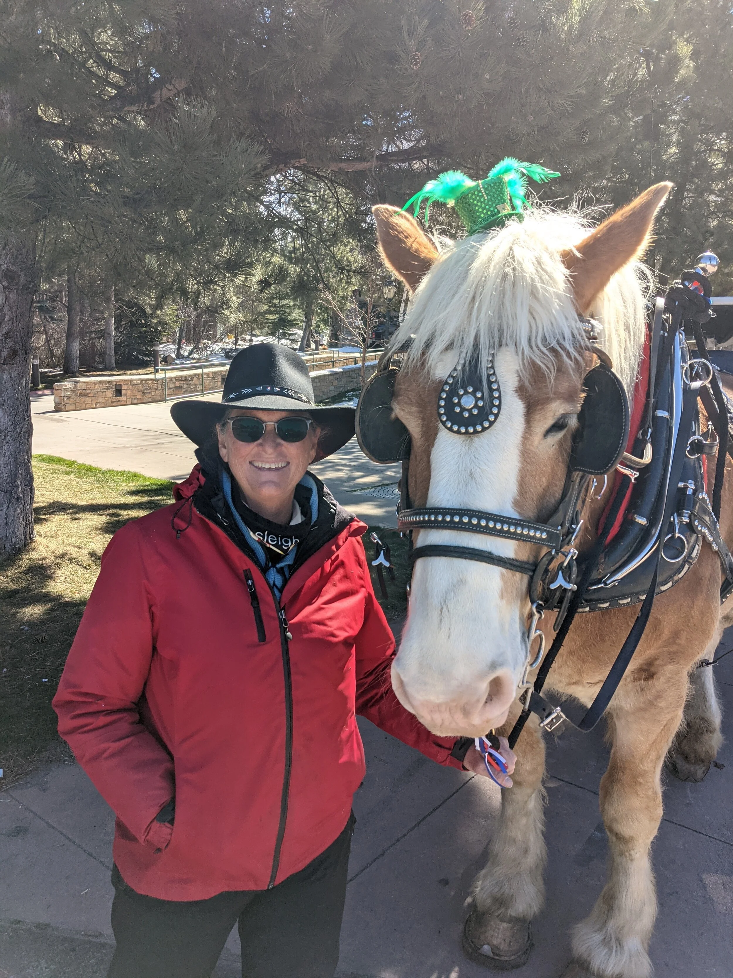 Narrated City Tours - Open