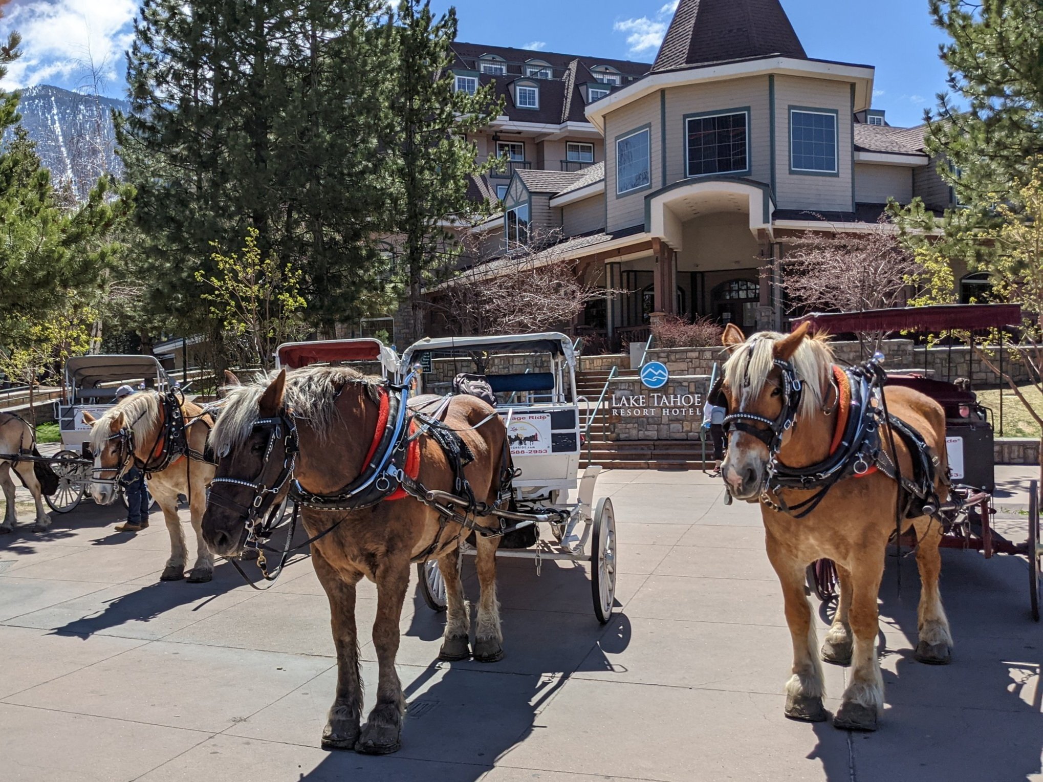 Autumn Schedule 2022