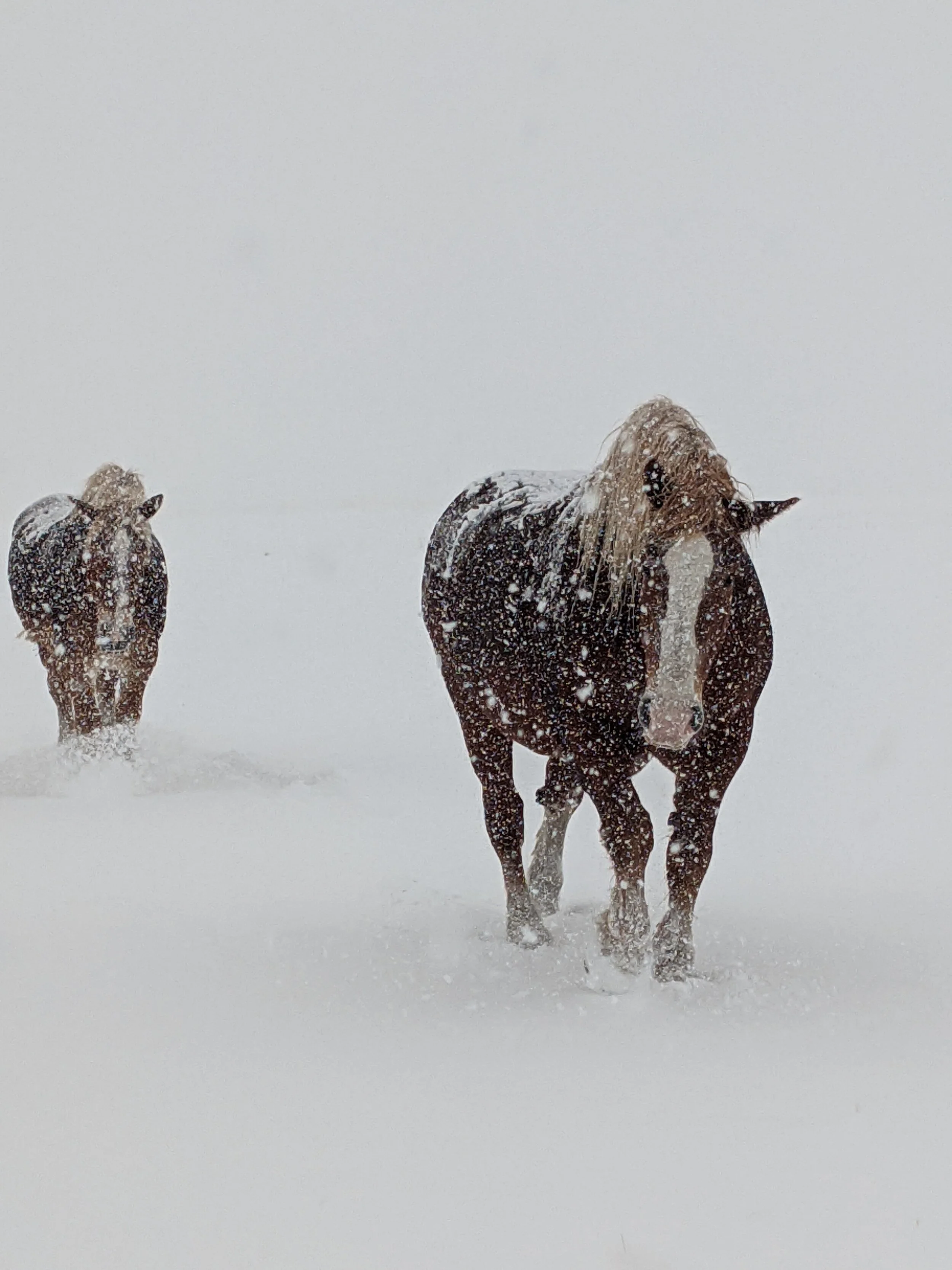 Closed 2/21 - 2/24/2022