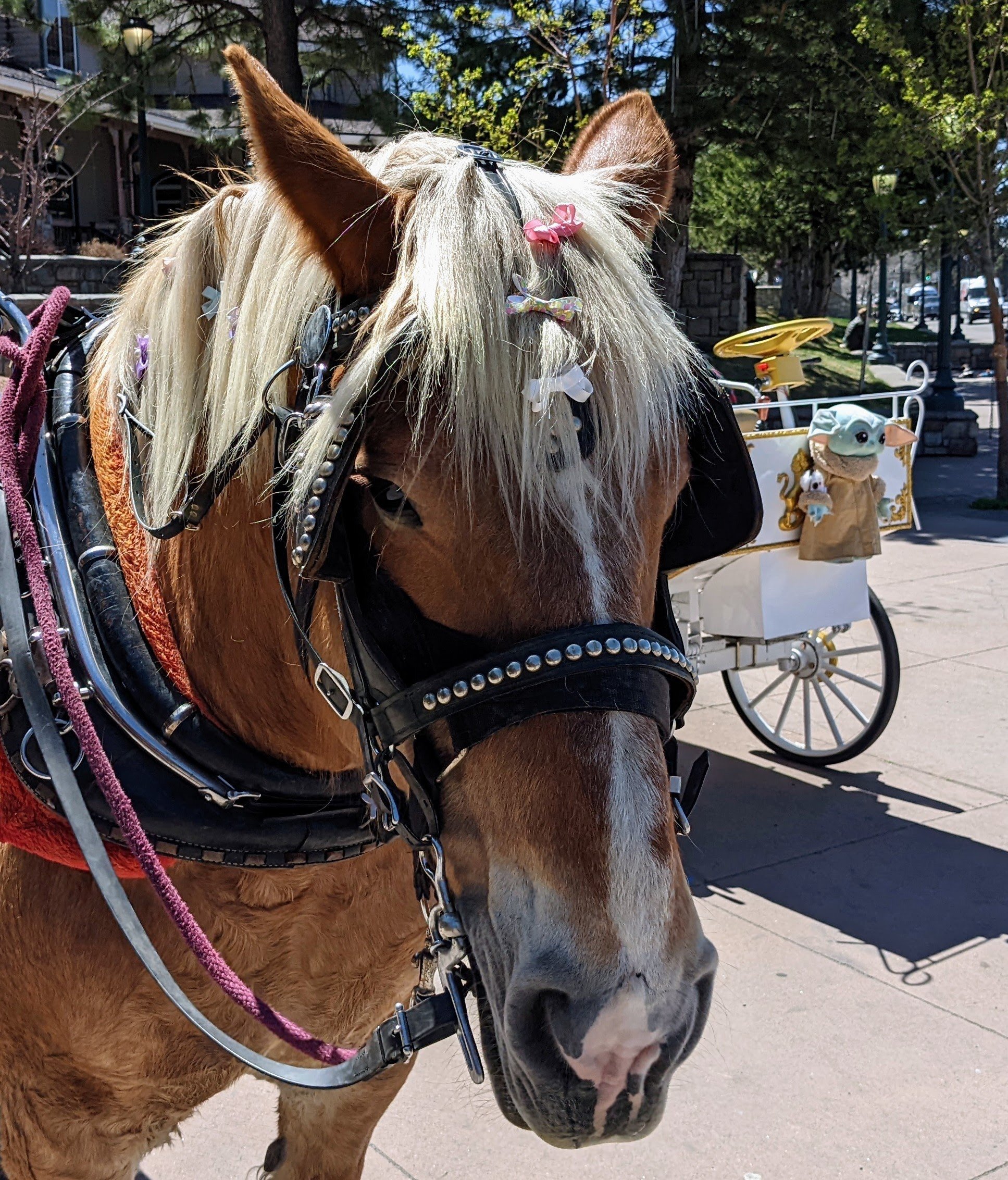 Spring schedule April thru June