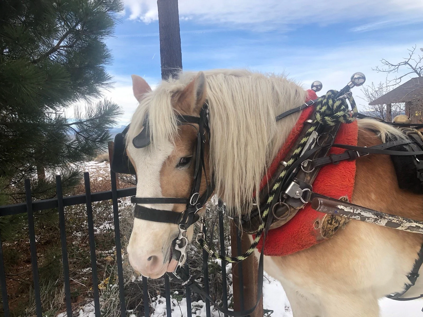 Borges tour at Sand Harbor Visitors Center