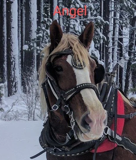 Open - Sand Harbor Visitors Center