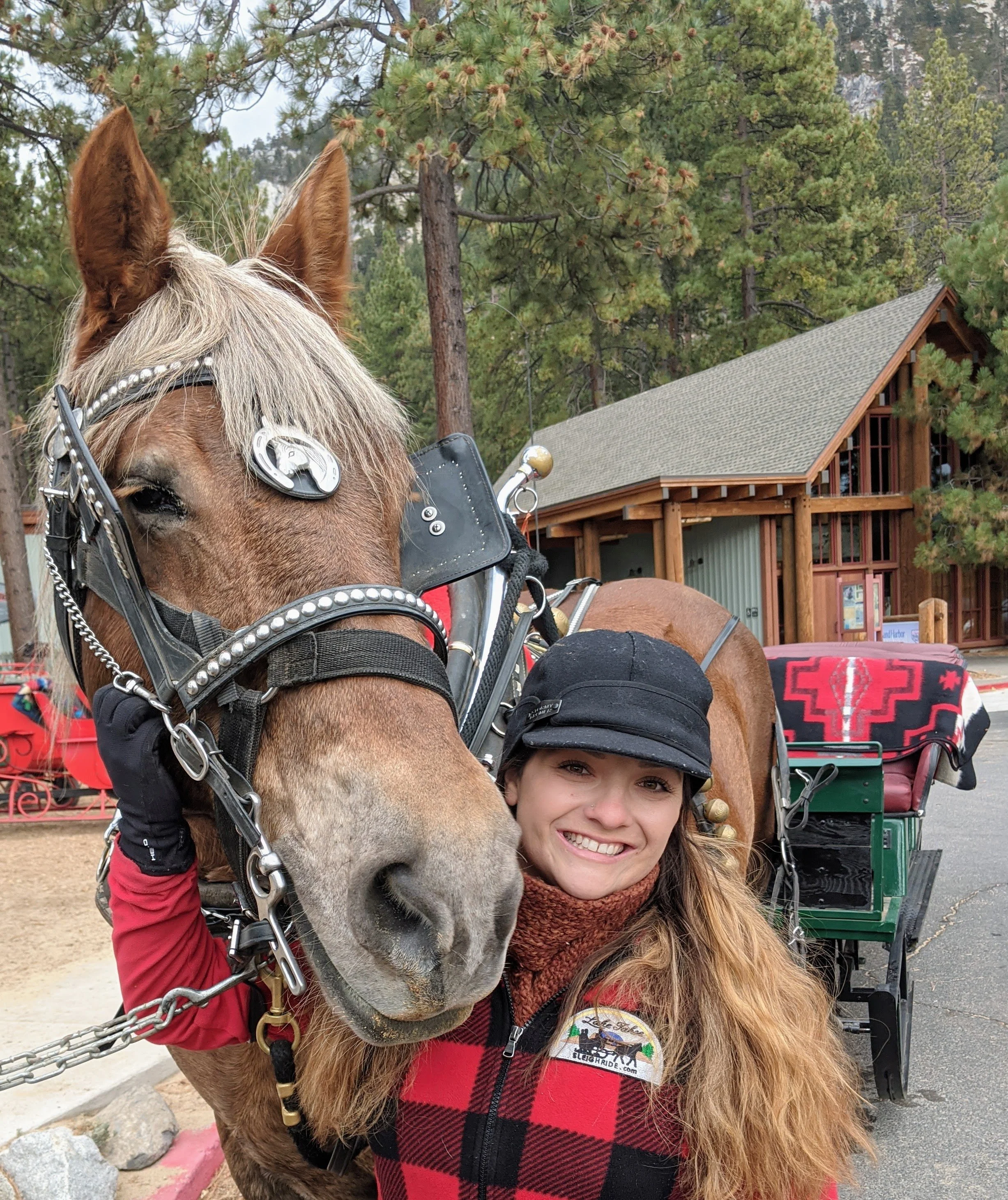 Welcome to the Tahoe Sleigh Ride!  