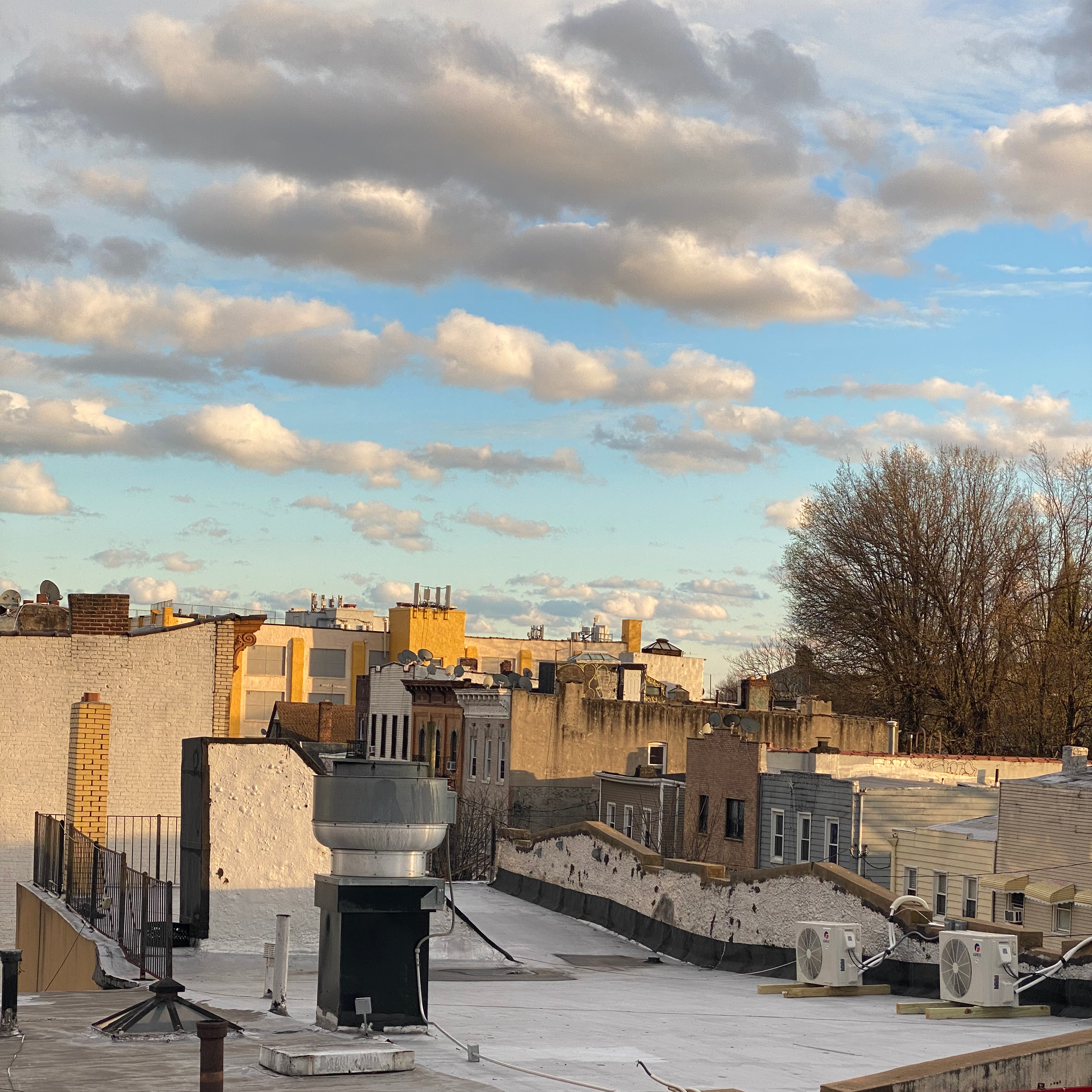 Vocal Improvisations