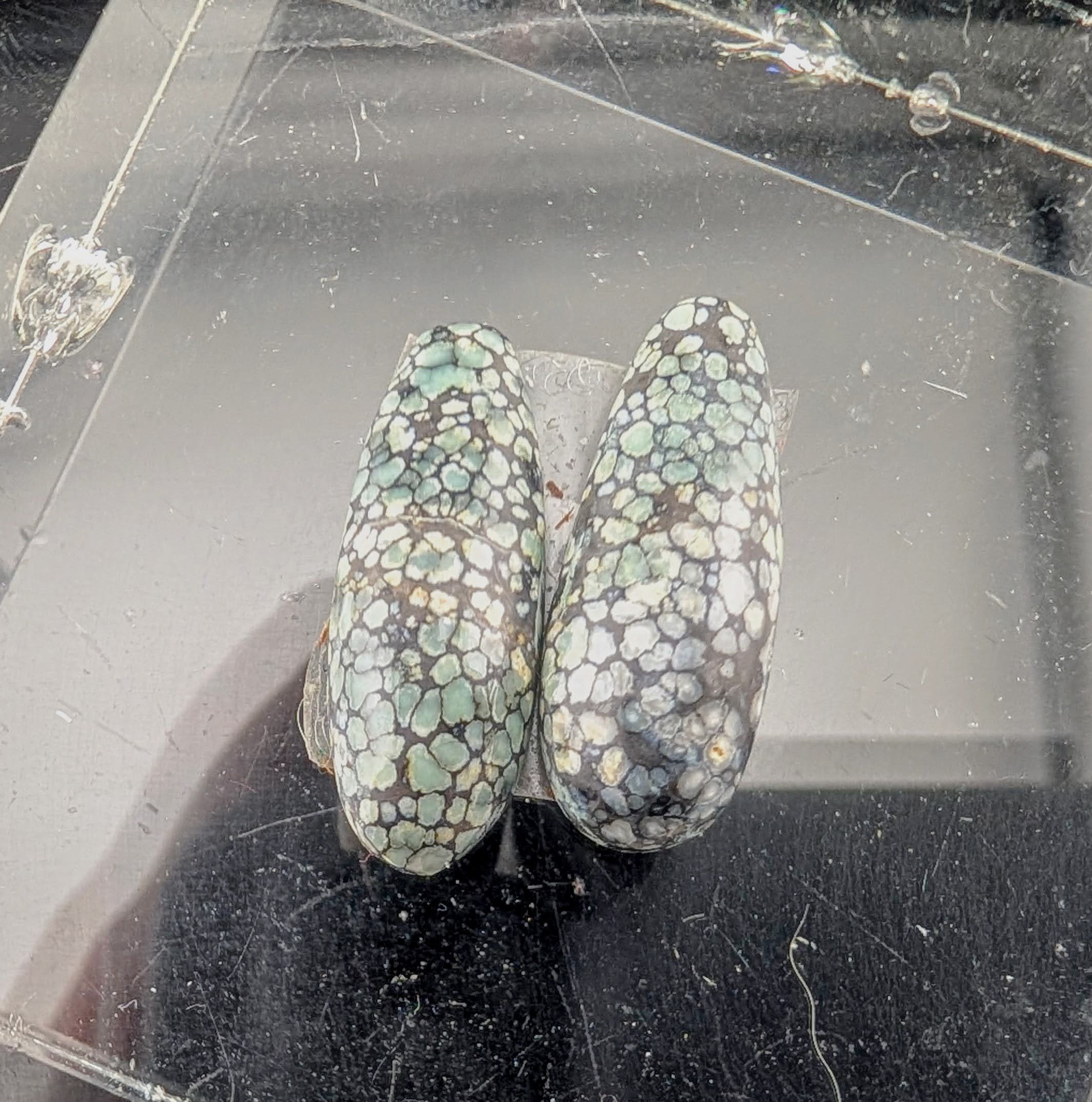 Desert Bloom Variscite (Pair)