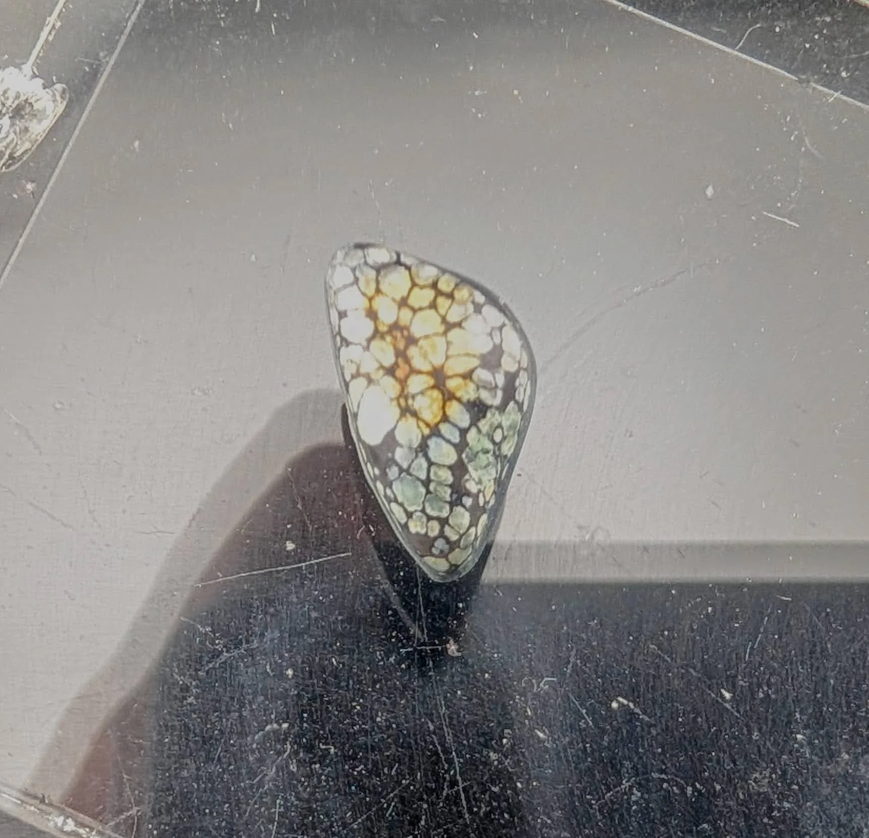 Desert Bloom Variscite