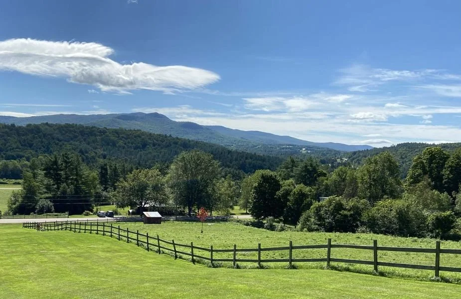 Yfisummerpasture.jpg-600h.jpg