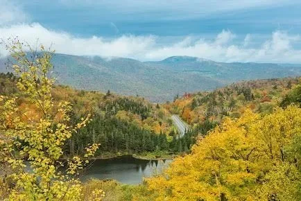 Long Trail at Appalachian Gap