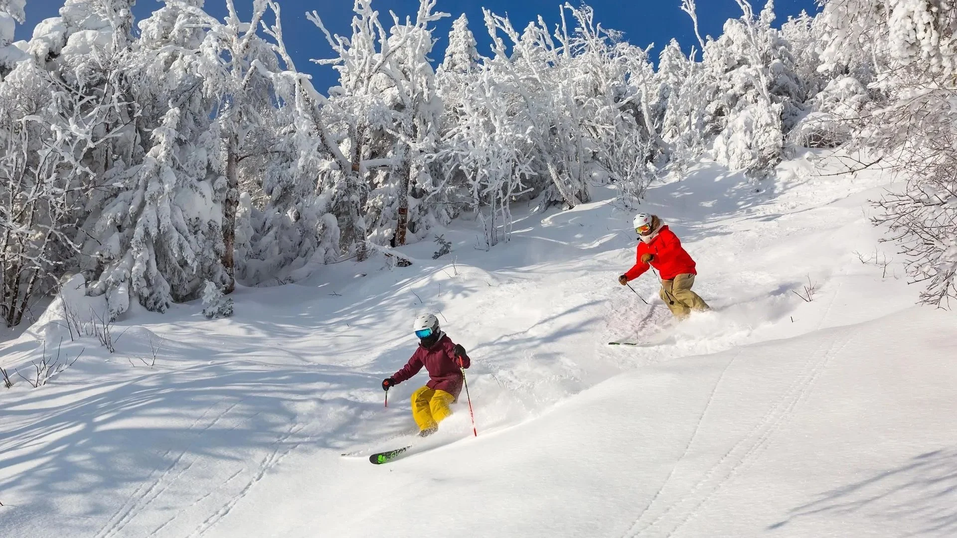 Sugarbush Resort