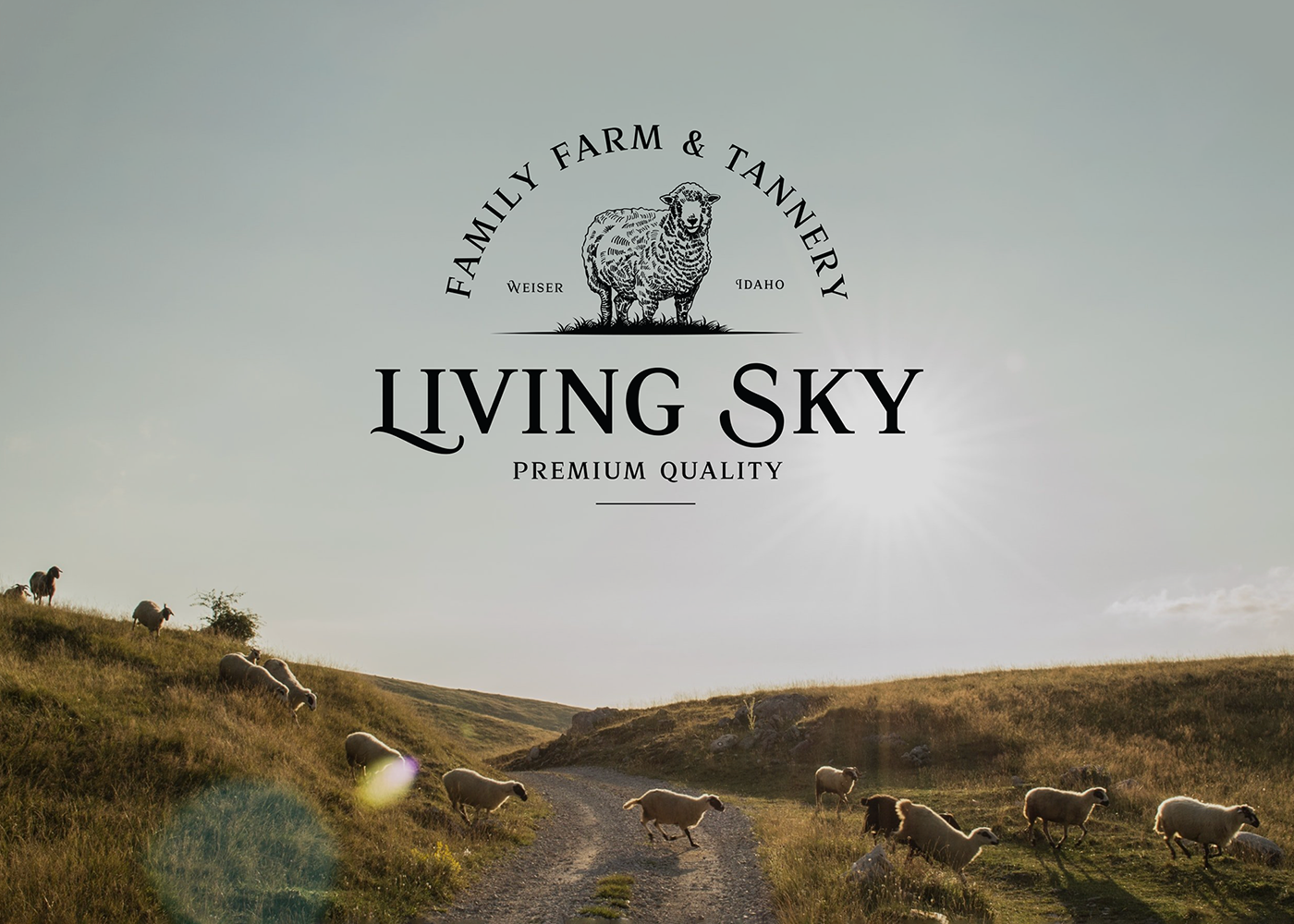 Living Sky_v1.webp