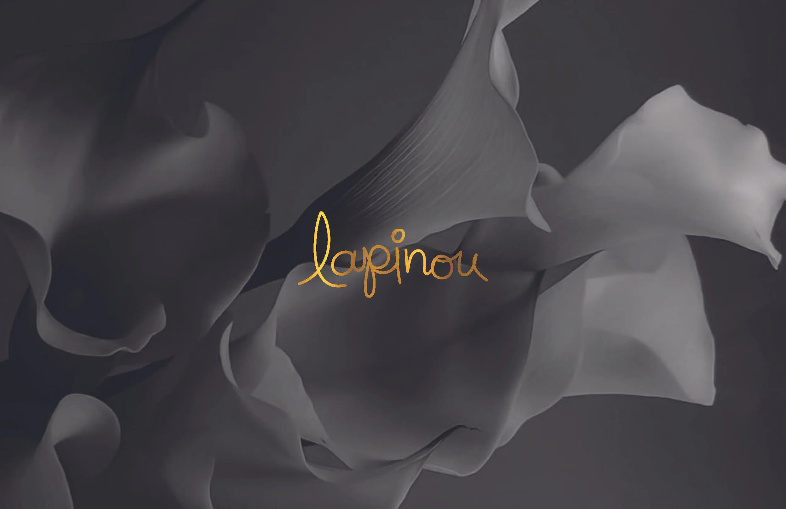 Lapinou Brand Revamp__Page_10.jpg