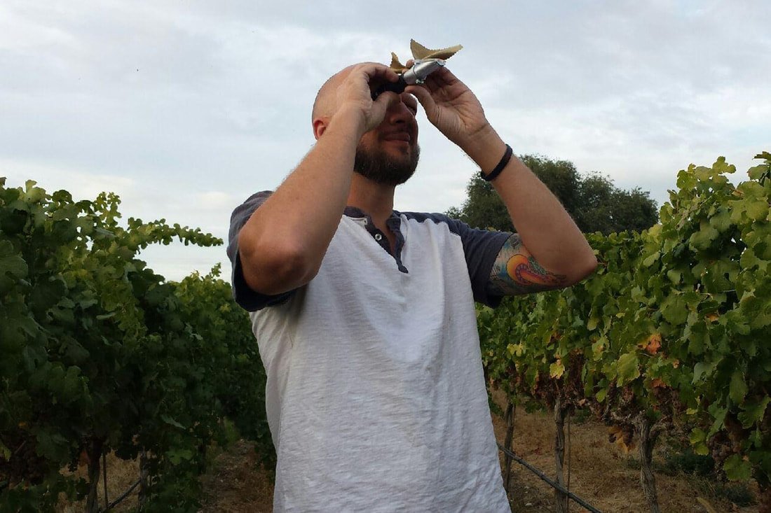 Winemaker Interview: Brad Binko, Eternal Wines