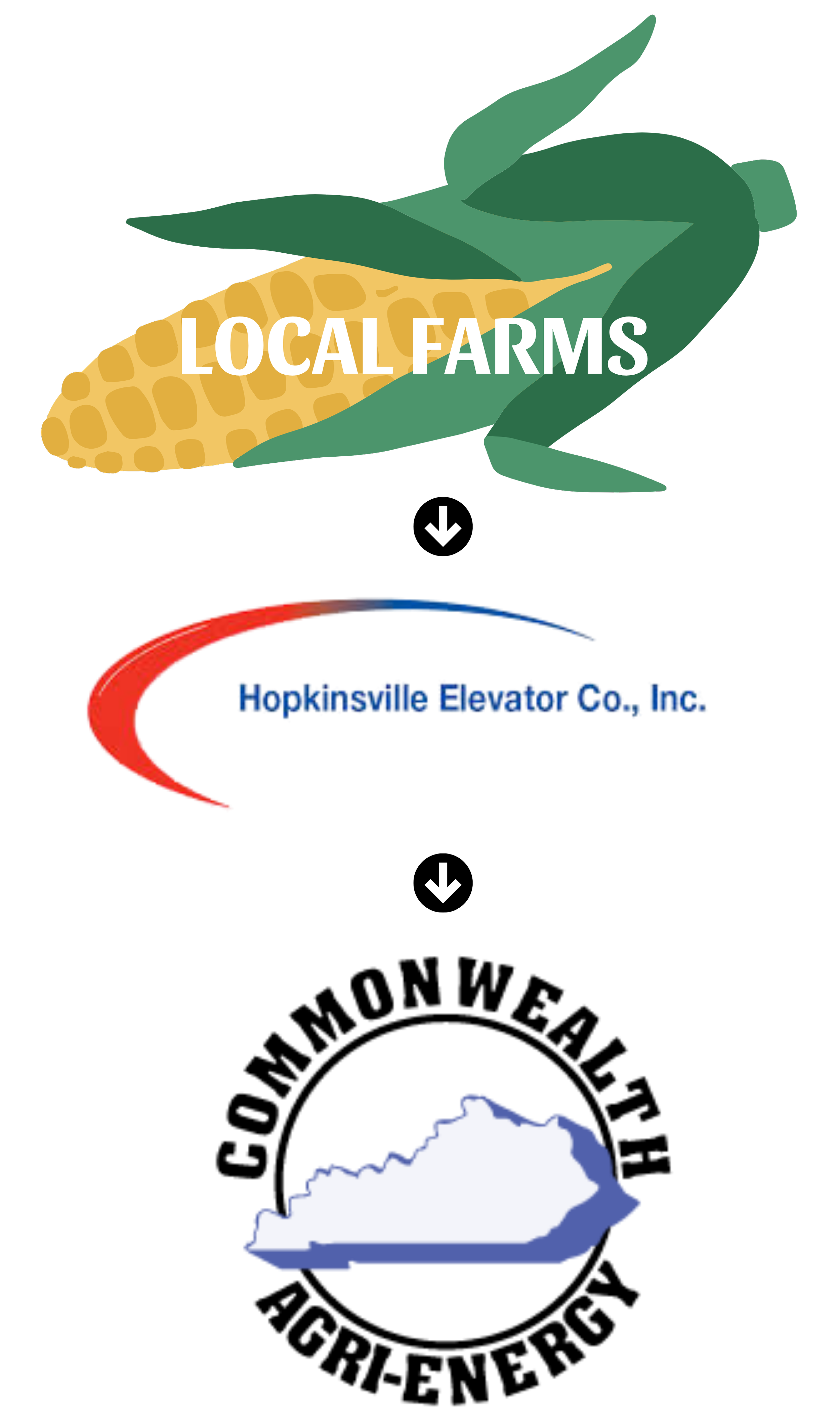 Illustration of a corn cob with green leaves and the words 'Local Farms' over it, a logo with red and blue swirl design and the text 'Appalachian Elevator Co., Inc.', and a blue and white map shape of Kentucky.