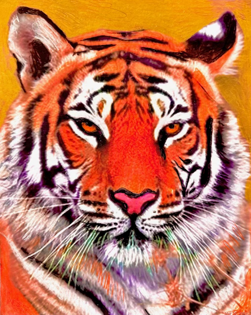 IMG_7755_040826.png