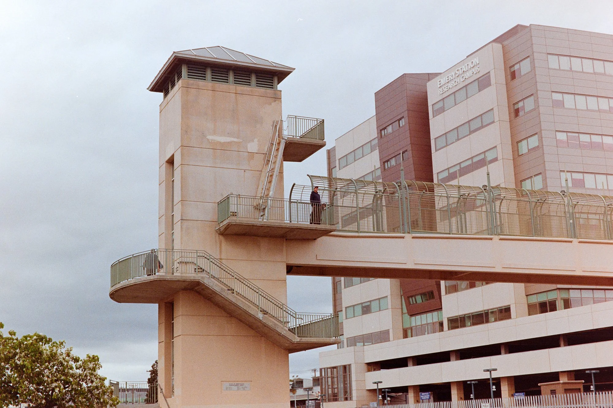 Pentax Spotmatic F - Gold 200