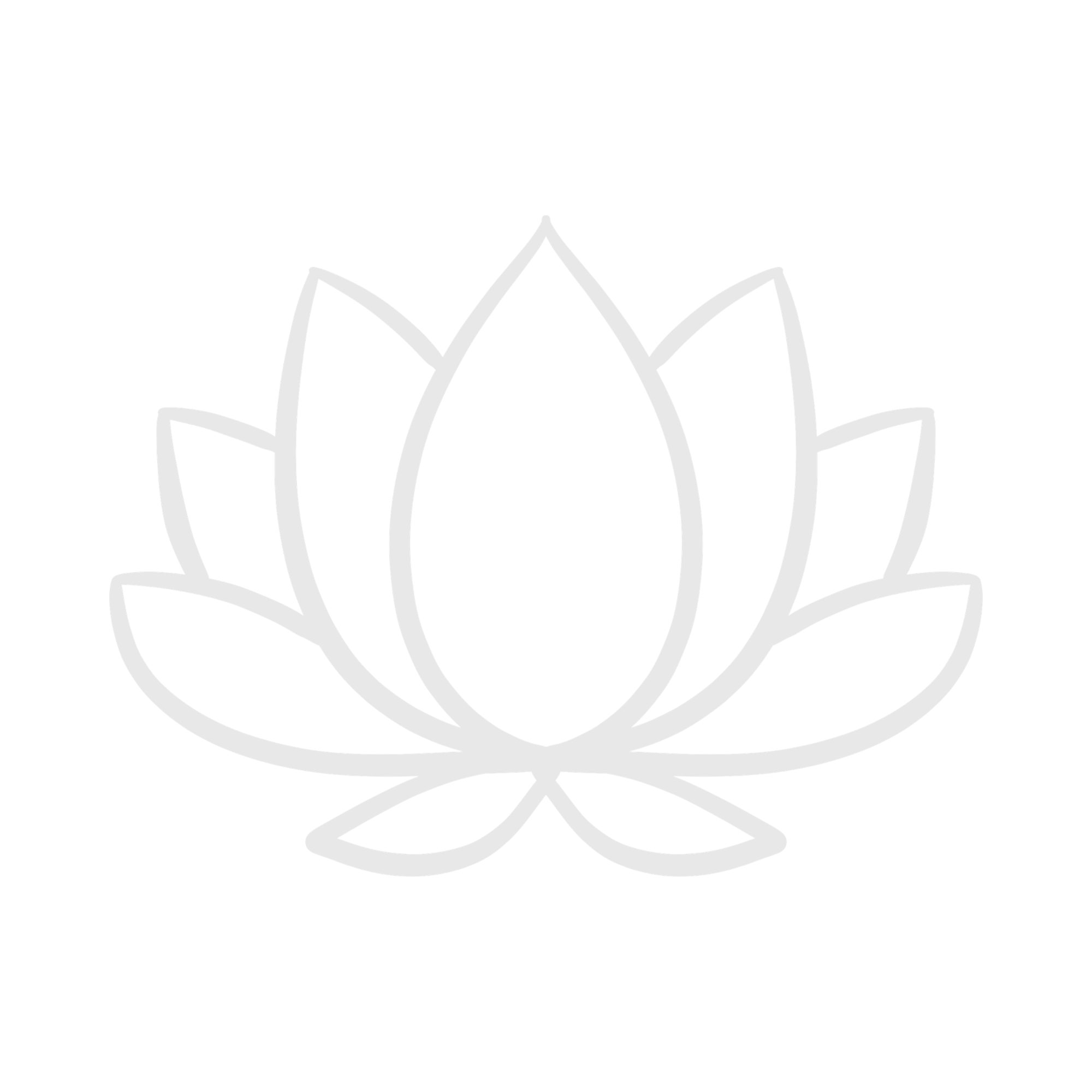 Black And Beige Simple Floral Beauty Blog Logo (1).png