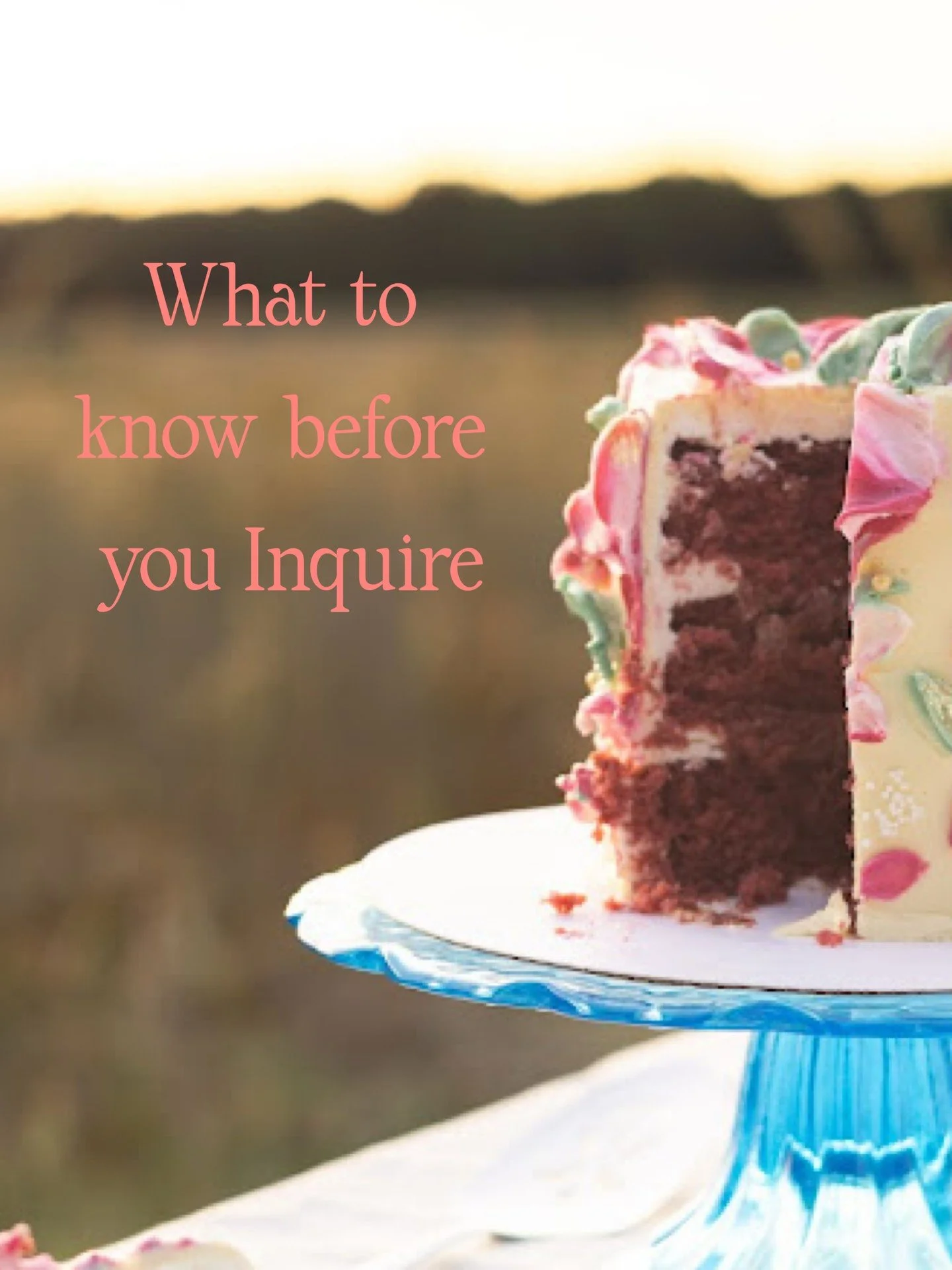 It&rsquo;s ok to have boundaries in your business. Just because you can do something doesn&rsquo;t always mean you should! ⁣
⁣
⁣
#womanowned #smallbusiness #cakeartist #fxbgva #bakersofig