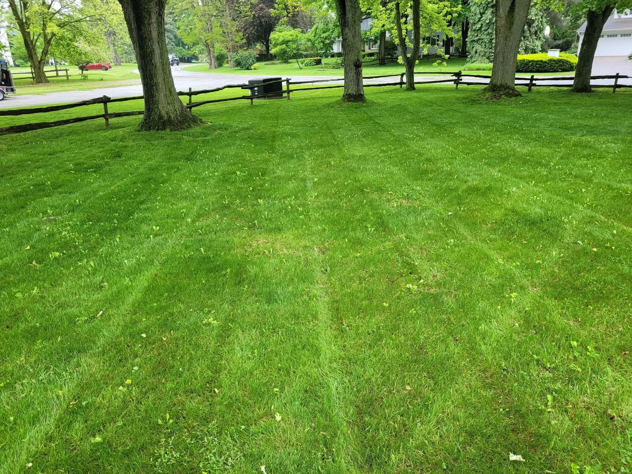 Lawn Mowing in Eastbridge 