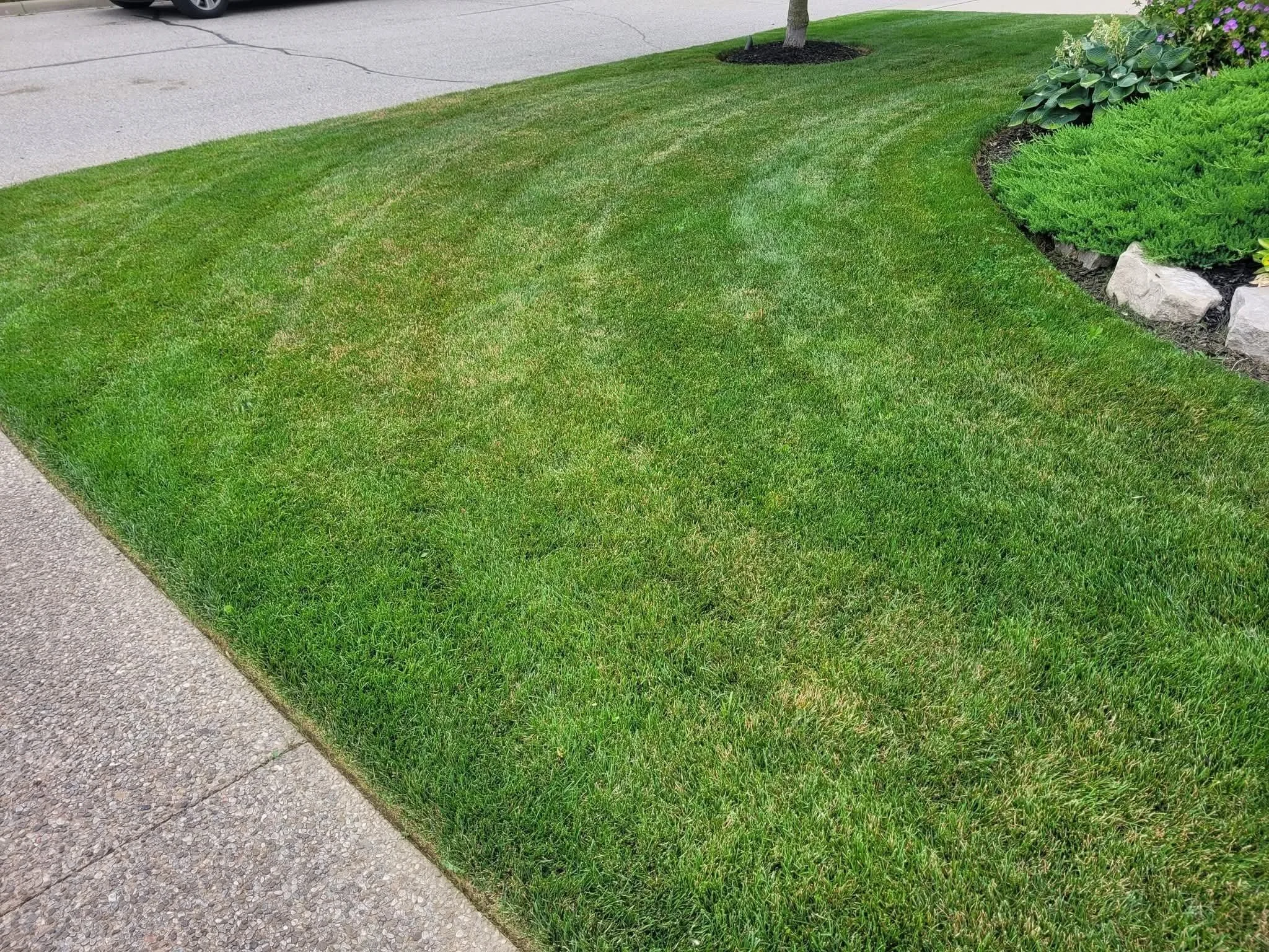 Lawn Mowing in Conestogo