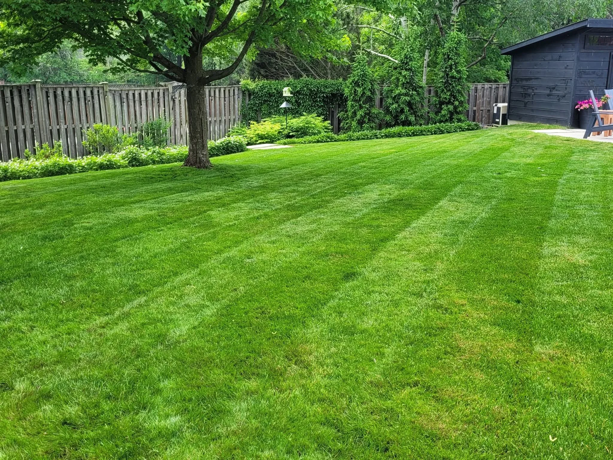 Lawn Mowing In Beechwood