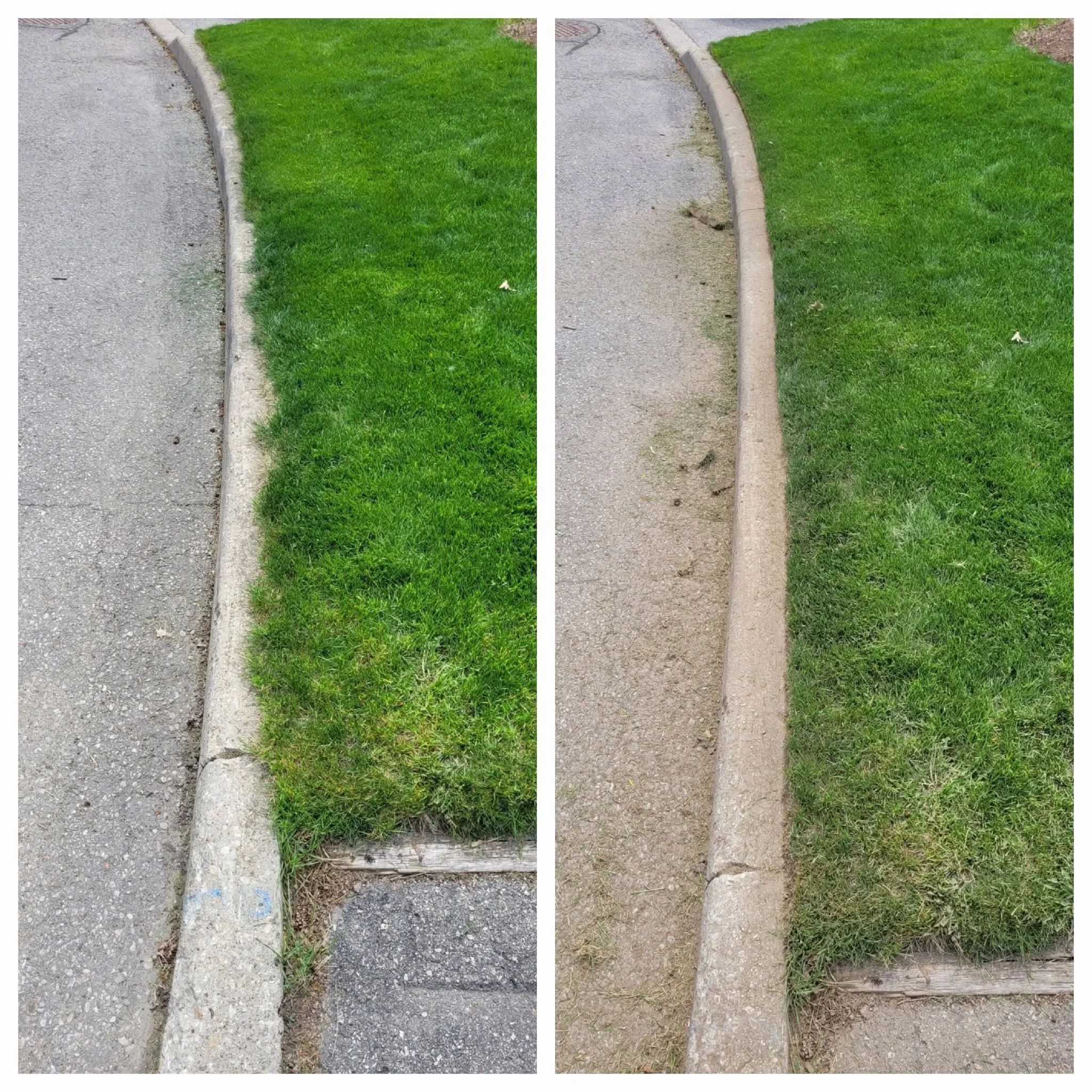 Edging a Curb in Waterloo