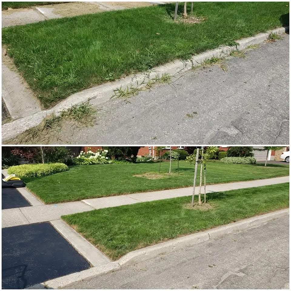 Sidewalk, Driveway, and Curb Edging 