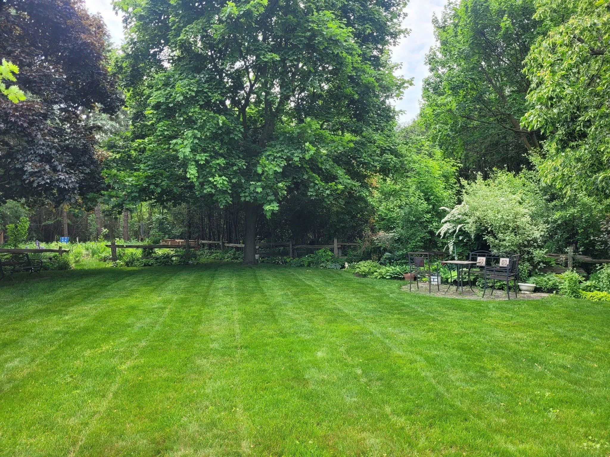 Cutting Grass in Lincoln Heights, Waterloo